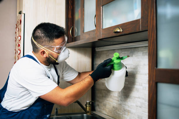 Best Pest Prevention Services  in Amery, WI