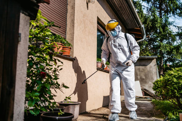 Best Emergency Pest Control  in Amery, WI