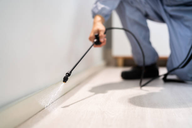 Professional Pest Control in Amery, WI