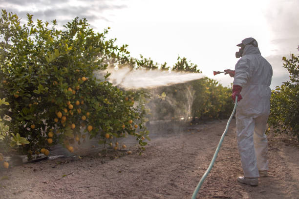 Best Wildlife Control Services  in Amery, WI