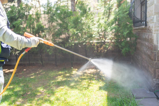 Pest Control for Restaurants in Amery, WI