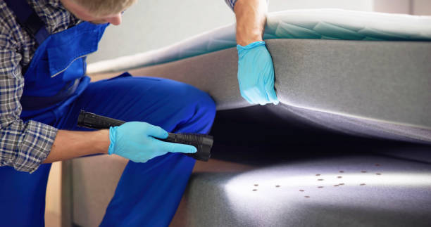 Best Best Pest Control Companies  in Amery, WI