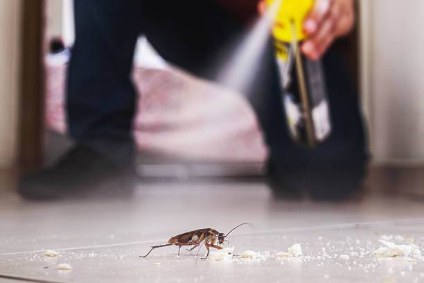 Best Residential Pest Control  in Amery, WI