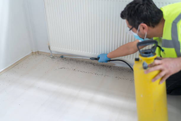 Best Pest Inspection Near Me  in Amery, WI
