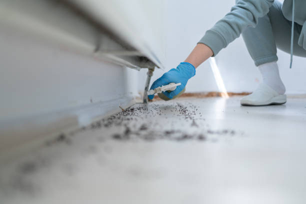 Best Pest Control for Restaurants  in Amery, WI